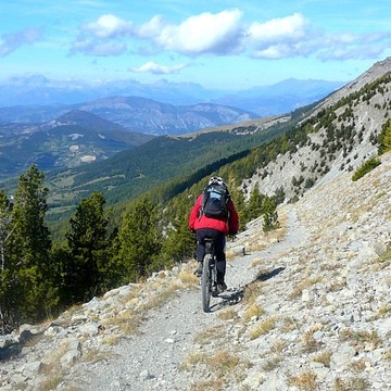 image d'article